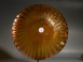 Early Roman golden-amber glass ribbed bowl.